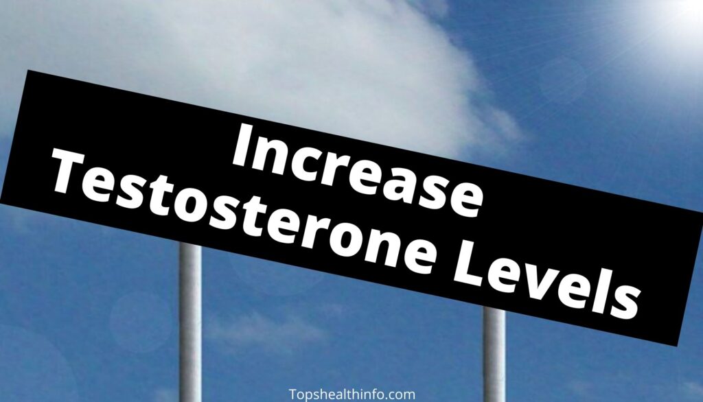 Best Ingredients to Increase Testosterone Levels Naturally