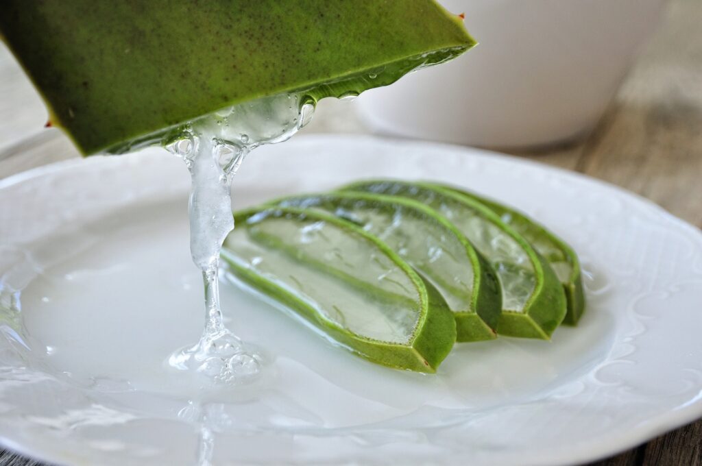 Health Benefits of Pure Organic Aloe Vera Gel Drink