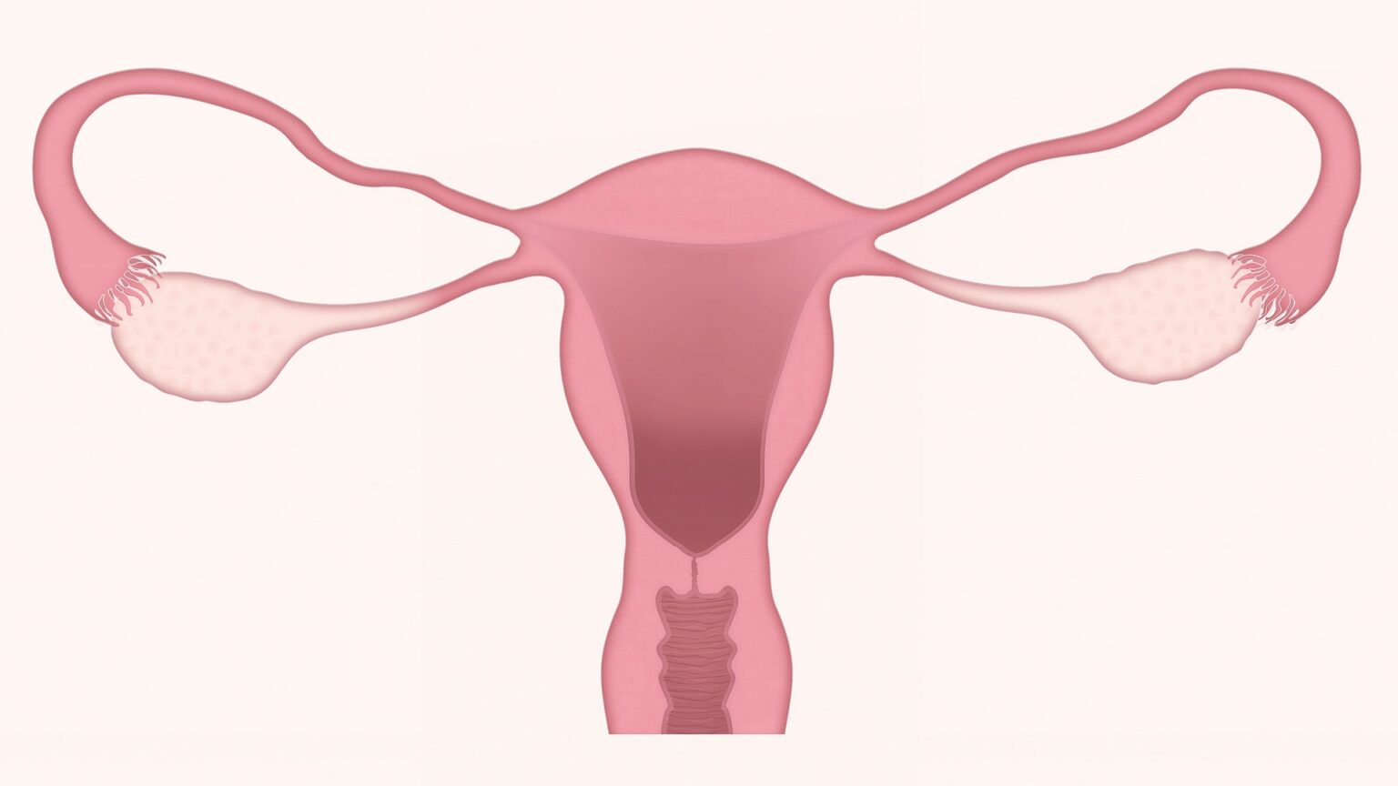 Prolapsed Uterus Causes Symptoms And Treatment