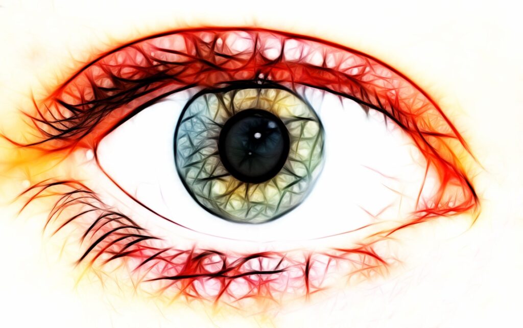 eye