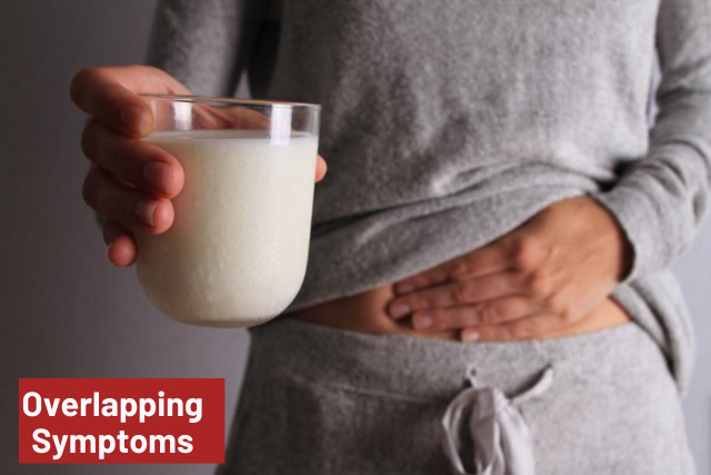 lactose intolerance and ibs diet