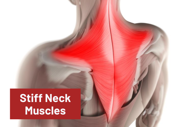 Neck Injury Problems