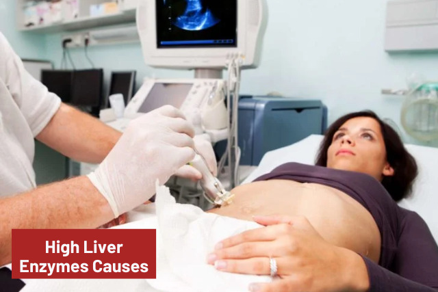 High Liver Enzymes Causes