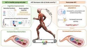 1. High-Intensity Interval Training (HIIT):