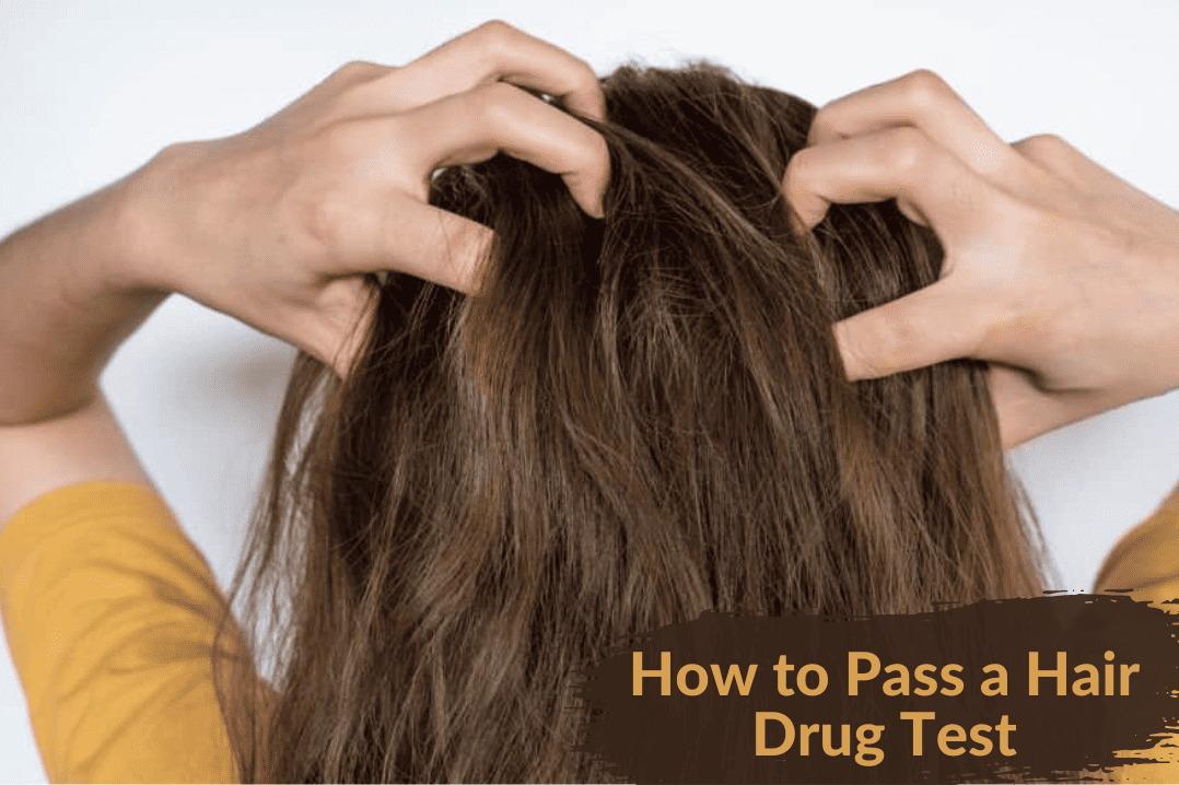 How to Pass a Hair Drug Test