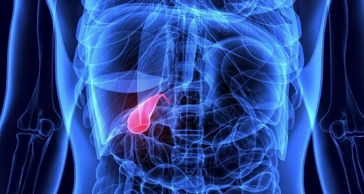 Unveiling Astonishing Facts about the Gallbladder