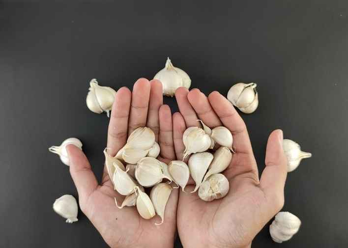 Tips for Eating Garlic