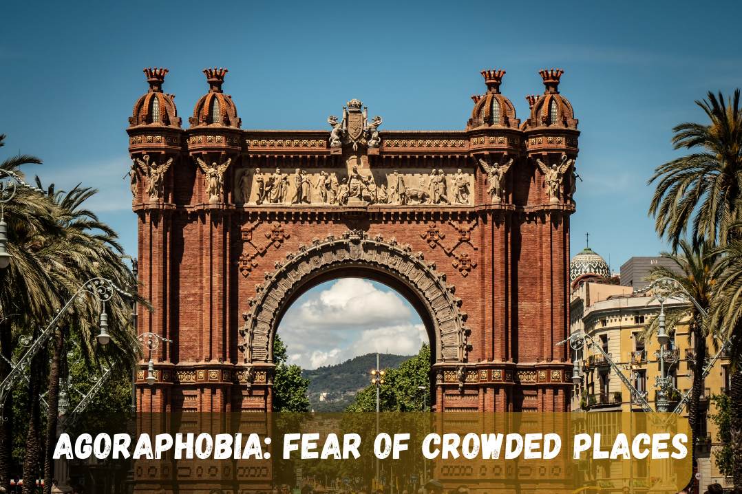 Agoraphobia Fear of Crowded Places_11zon