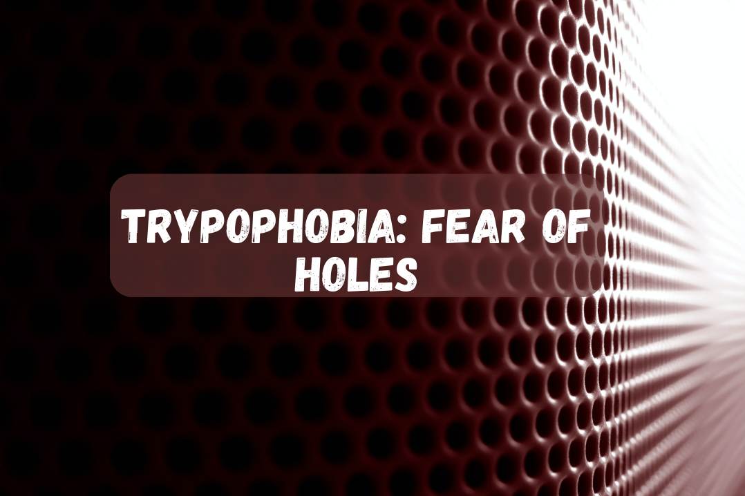 Trypophobia An Irrational Fear of Holes