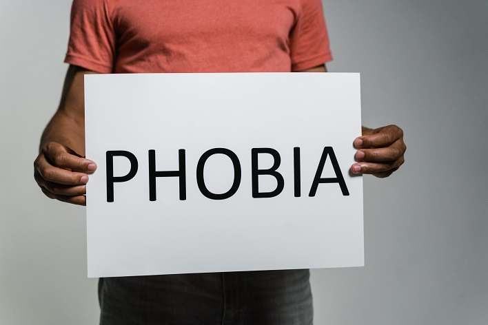 Causes of Phobophobia