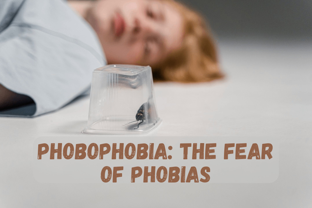 Phobophobia The Fear of Phobias